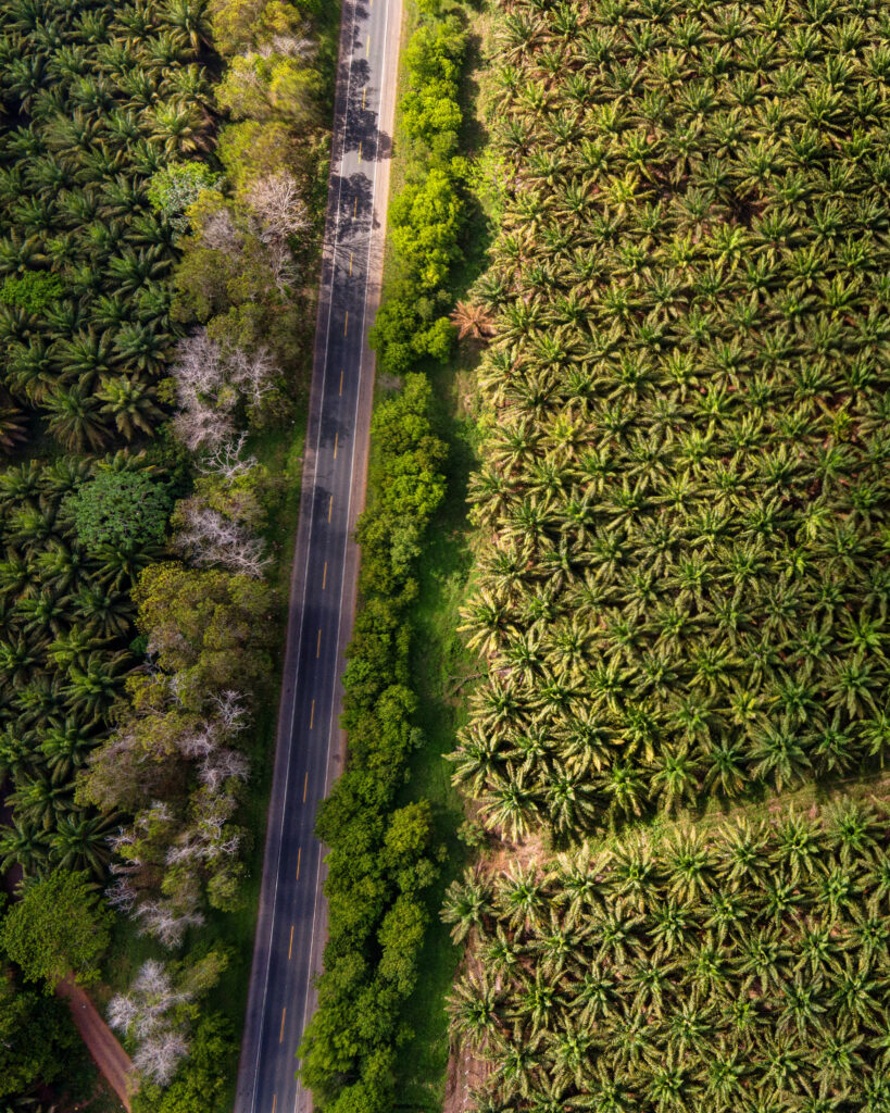 La región de Monte Plata simplemente encanta con la belleza de sus paisajes, saltos y , y cocotales que invitan a visitarlos tanto como sea posible